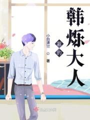 我的韩烁大人免费阅读