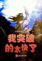 我突破的太快了境界划分