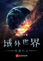 域外世界观测日志TXT