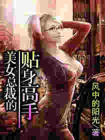 美女总裁的贴身兵王杨风