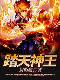 踏天神王笔趣阁