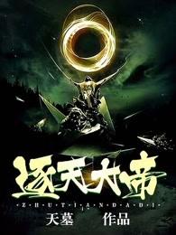 逐天大帝TXT奇书网