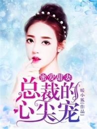 蜜爱宠婚总裁的心尖萌妻