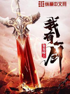 叶观纳兰迦全集阅读笔