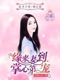 缘来妻到掌心第一宠全文免费阅读