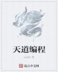 天道编辑器百科