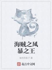 海贼王之风暴主宰