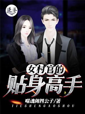 女村官的贴身高手林风免费