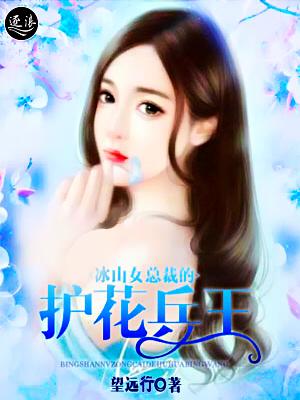 冰山女总裁的护花使者