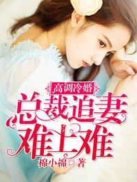 高冷总裁追妻忙