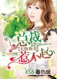 天价宠儿总裁的新妻完整篇