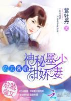 亿万蜜婚神秘墨少甜娇妻 第3章