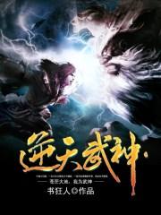 逆天武神全本TXT