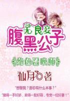 绝色召唤师腹黑公子无良妾免费阅读