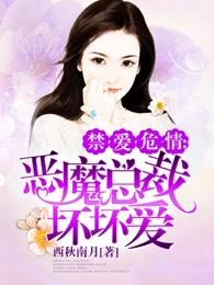 恶魔总裁坏坏爱安磊结局