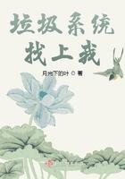 垃圾系统类完结