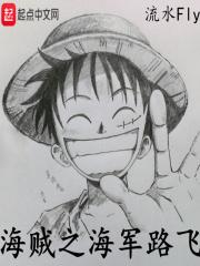 海贼之海军路飞免费观看