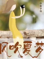 风吹夏梦 齐子归