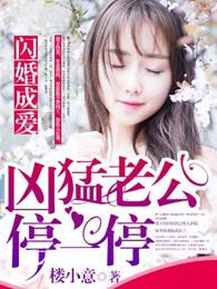 闪婚成爱凶猛老公停一停刷书