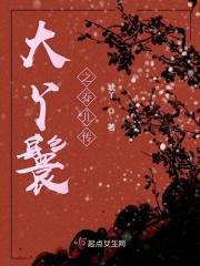 大丫鬟续文