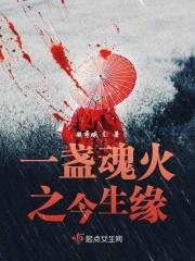 一盏魂灯渡佳人歌曲