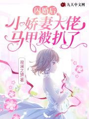 闪婚后大佬宠妻上天