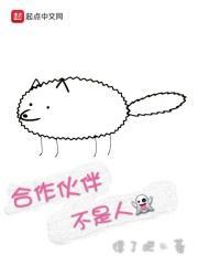 合作伙伴不是人的说说