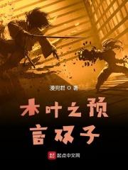 火影之木叶双子