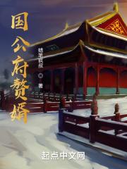 国公府赘婿秦瓶