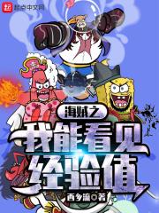 海贼我能看到经验