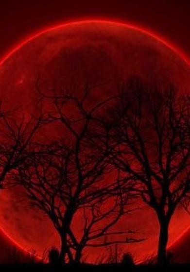 山神也混娱乐圈 人物关系图