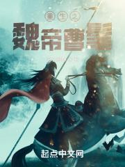 重生曹魏大帝曹睿