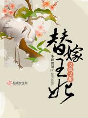 替嫁王妃甜文