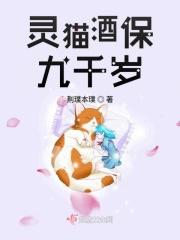 灵猫橘九