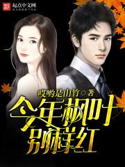 叶北望宋清漪免费阅读