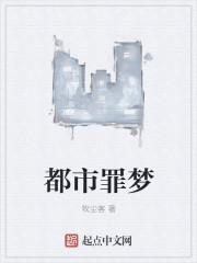 避雷针可以充电吗