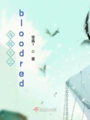 海贼王之剑豪之心