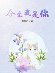 今生我是你的唯一是什么歌曲