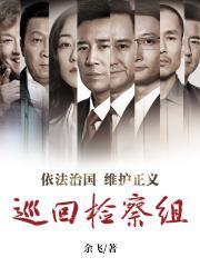 巡回检察组电视剧原著