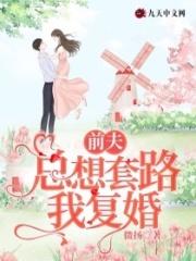 前夫总想套路我复婚免费最新