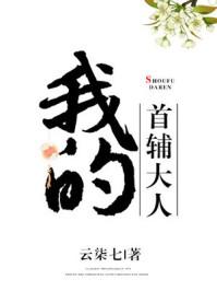 我的首辅大人免费阅读