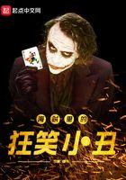 海贼王之疯狂小丑