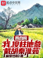 四合院我傻柱绝不接锅!