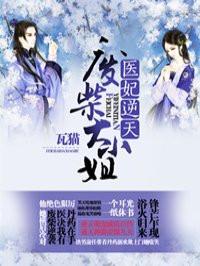 凤谋天下之倾世医妃