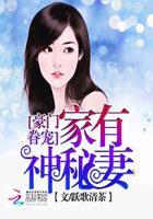 豪门重生之神秘妻