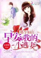 婚令如山宝贝我宠你