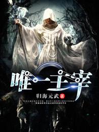 唯一主宰 归海元武