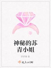 叫苏青的是啥电视剧