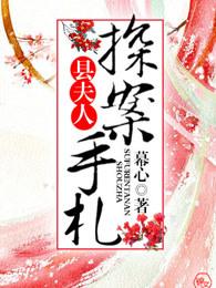 县夫人探案手札txt