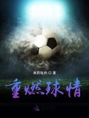 重燃这本书怎么样